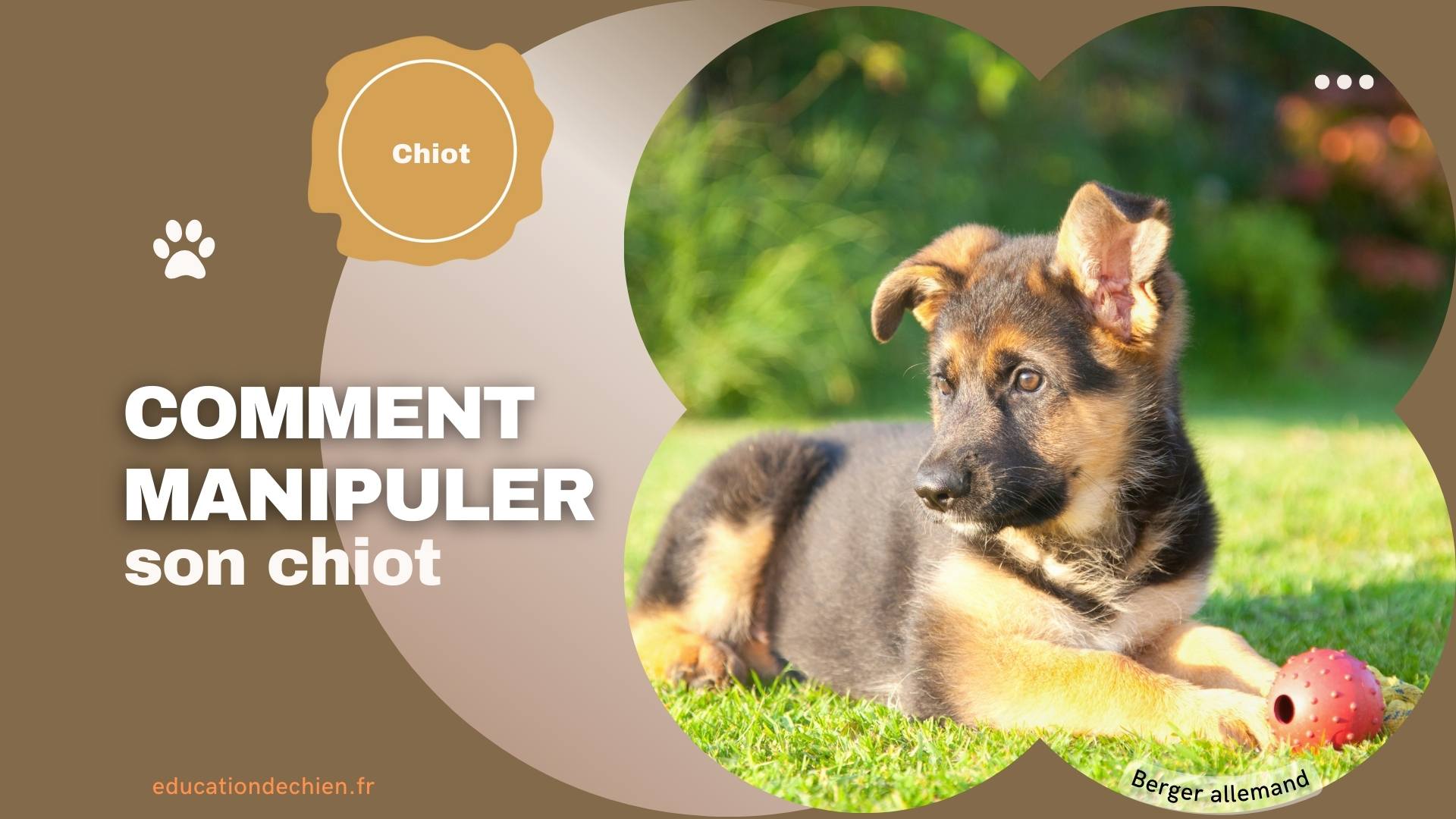 Berger allemand