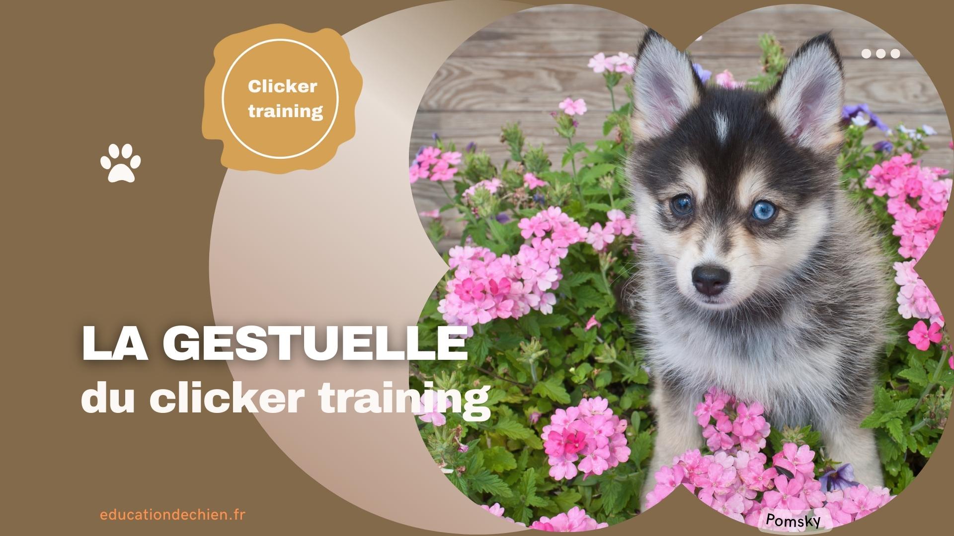 Pomsky