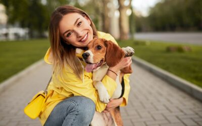 Les compétences de base du clicker training pour chien