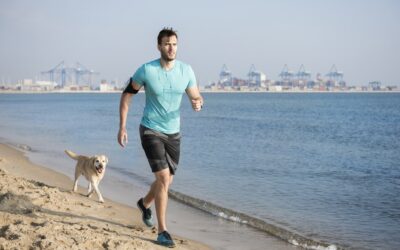 Comment motiver son chien pour optimiser les résultats du clicker training