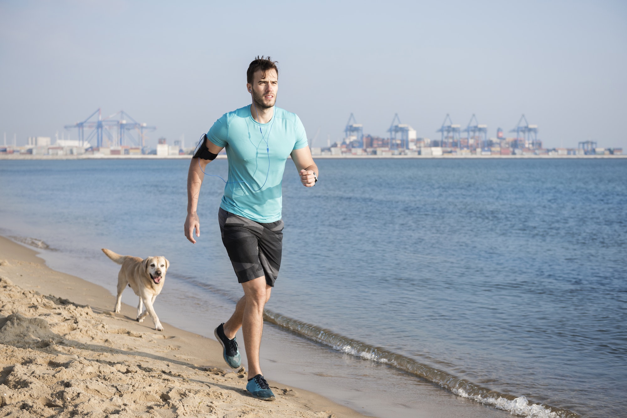 Chien motivation sortie