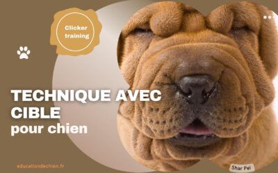 Clicker training : Technique avec cible pour chien