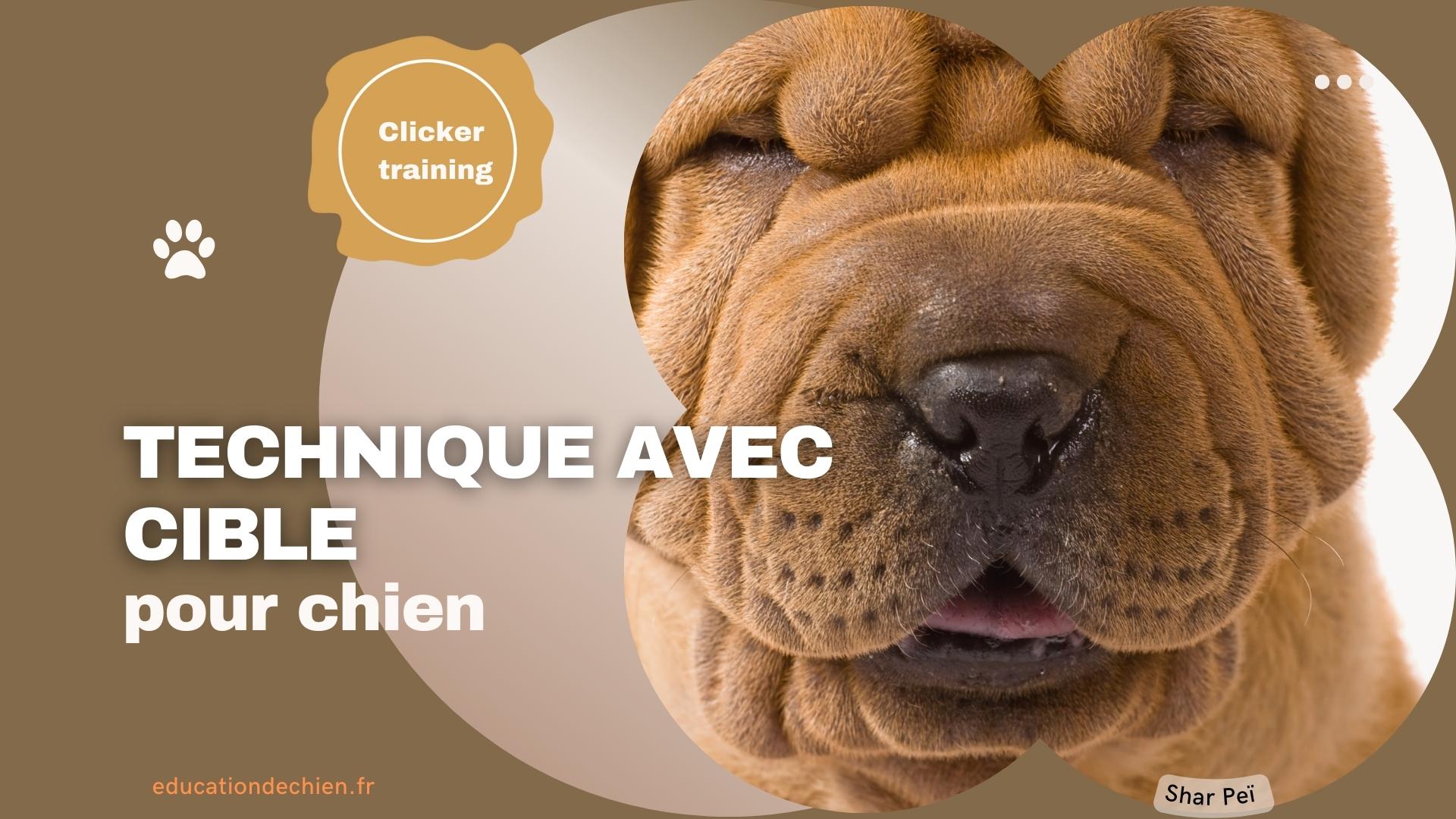 Technique cible chien Shar Peï