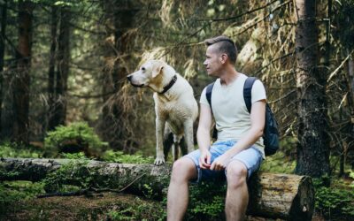 Apprendre le « Pas bouger » à son chien