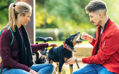 Apprendre l’ordre « laisse » à son chien