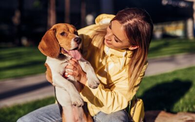 Qu’est ce que l’éducation canine Positive ?