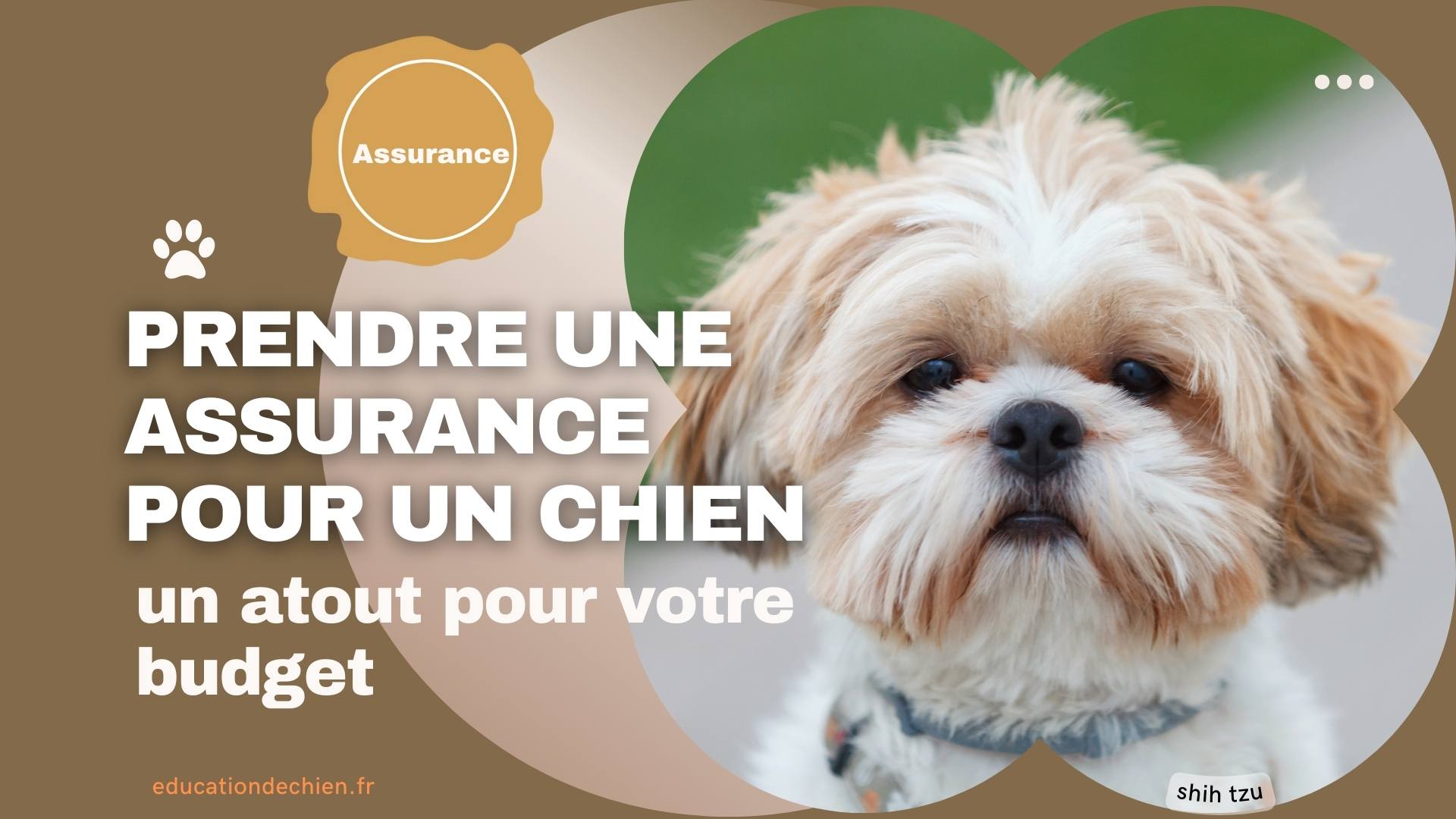 prendre une assurance pour un chien