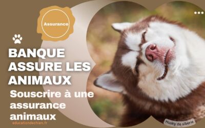 Quelle banque assure les animaux ?