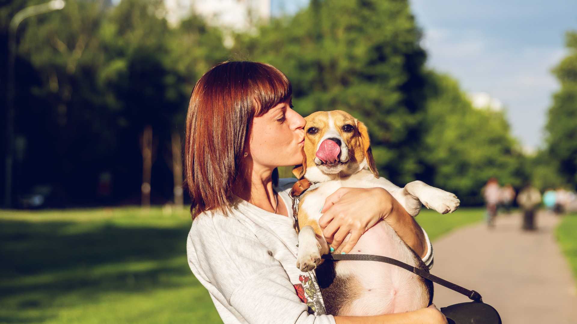 chien avec sa maîtresse