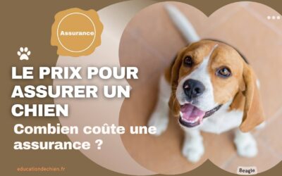 Quel est le prix pour assurer un chien ?
