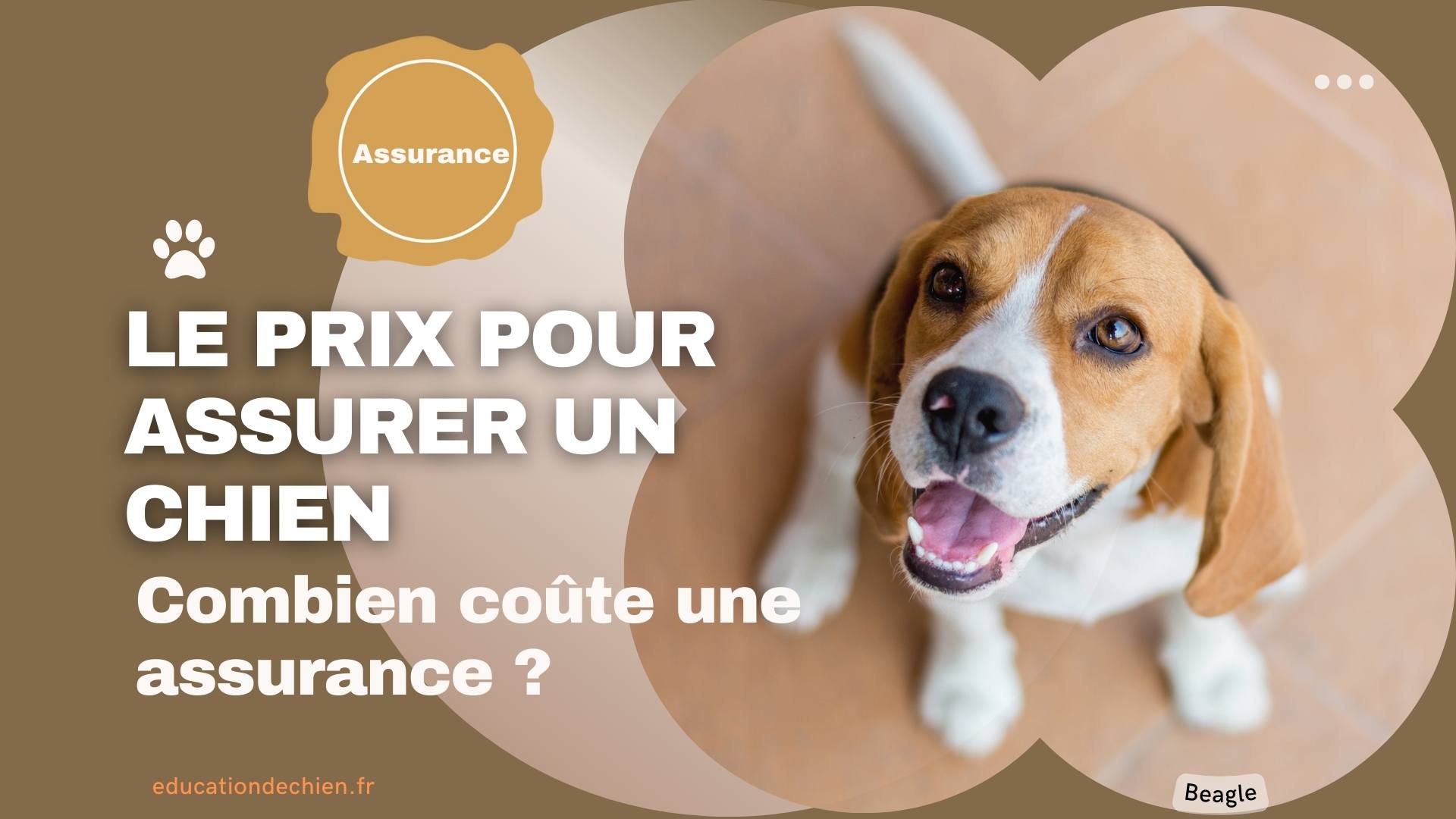 le prix pour assurer un chien
