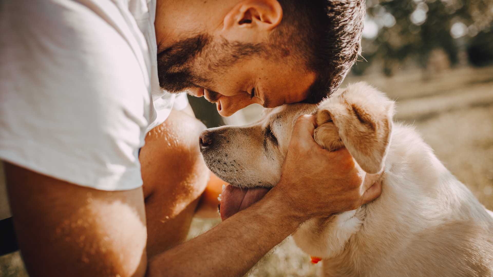 chien et son maître