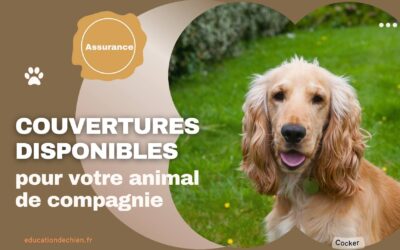 Les différents types de couvertures disponibles pour votre animal de compagnie.