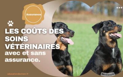 Les coûts des soins vétérinaires : une comparaison avec et sans assurance.
