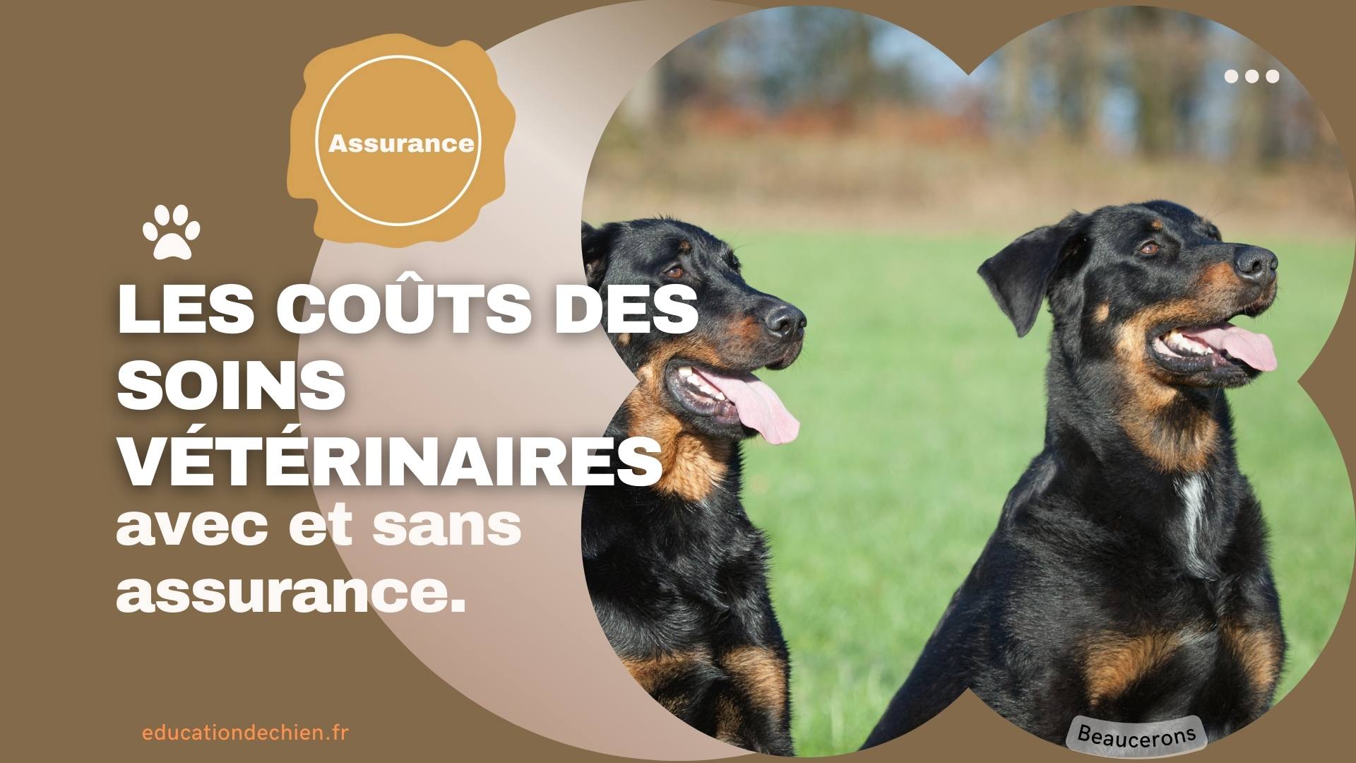 coûts des soins vétérinaires