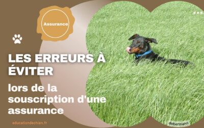 Les erreurs à éviter lors de la souscription d’une assurance pour animaux de compagnie.