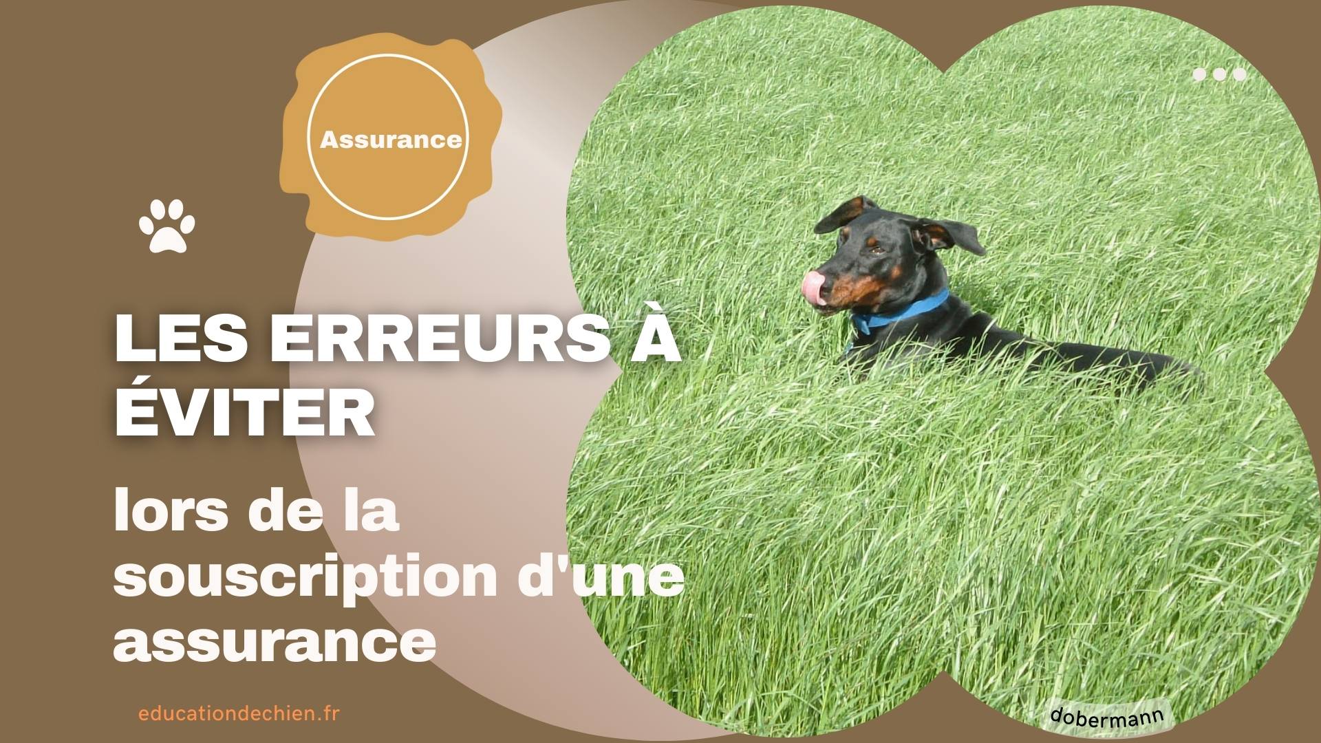 souscription d'une assurance pour animaux de compagnie