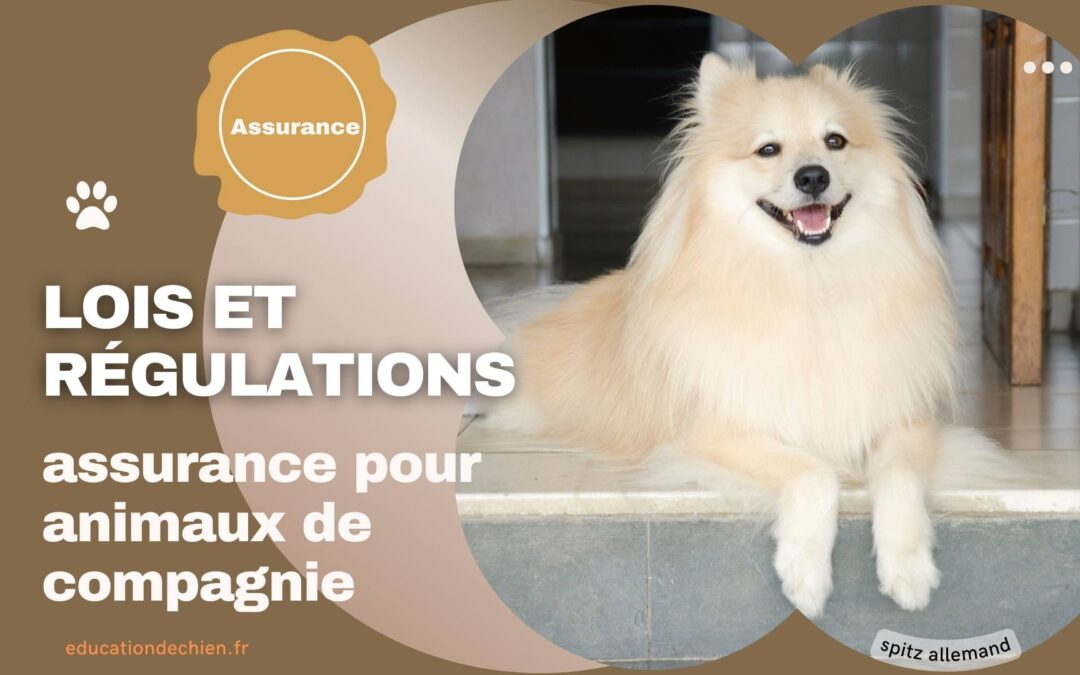 Les lois et régulations concernant l’assurance pour animaux de compagnie.