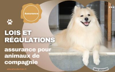 Les lois et régulations concernant l’assurance pour animaux de compagnie.