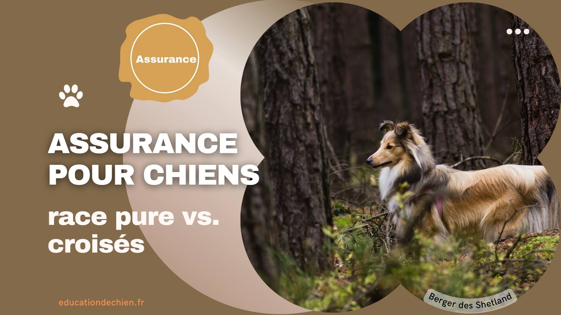 Assurance pour chiens de race pure vs. chiens croisés