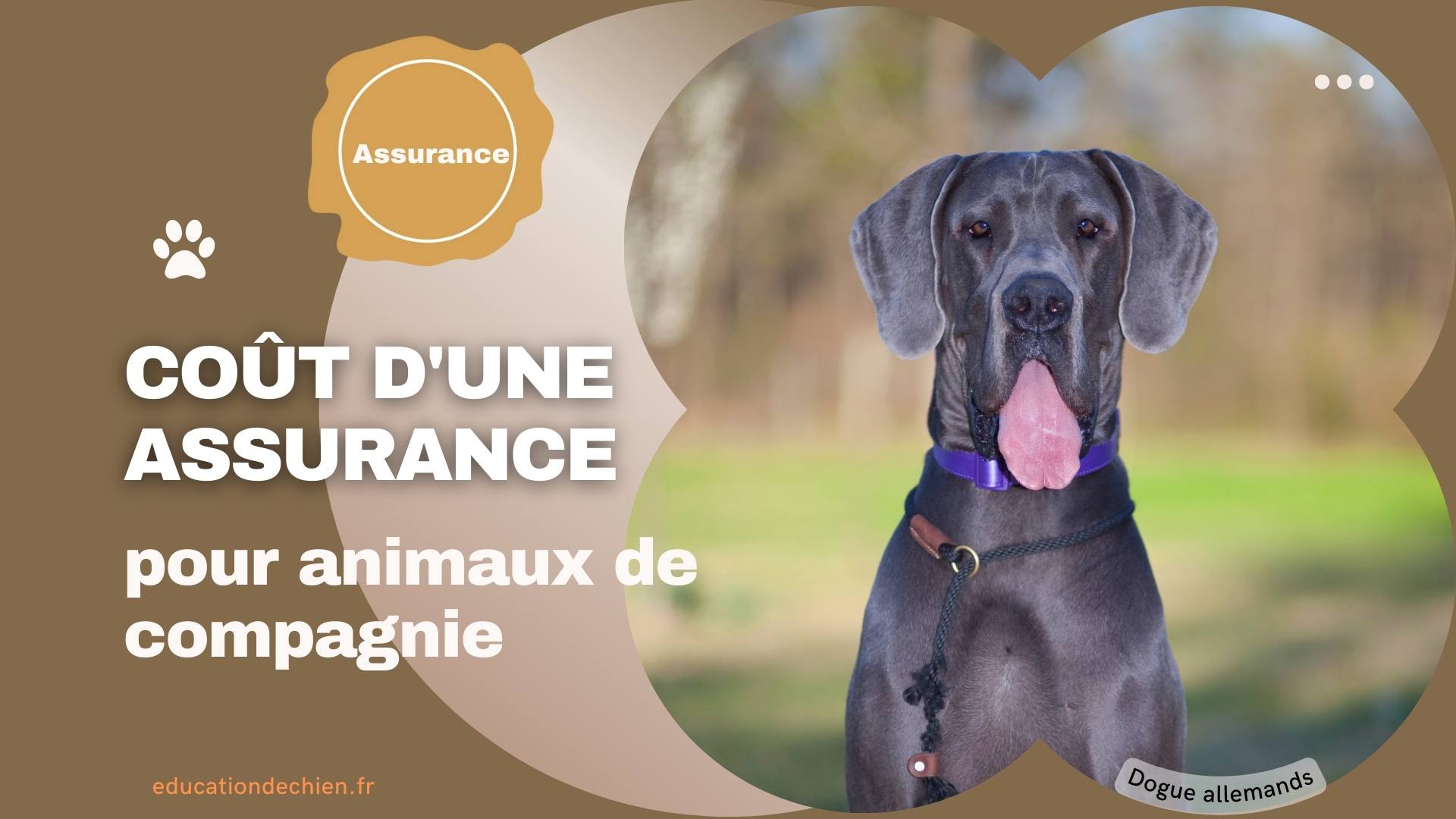coût d'une assurance pour animaux de compagnie