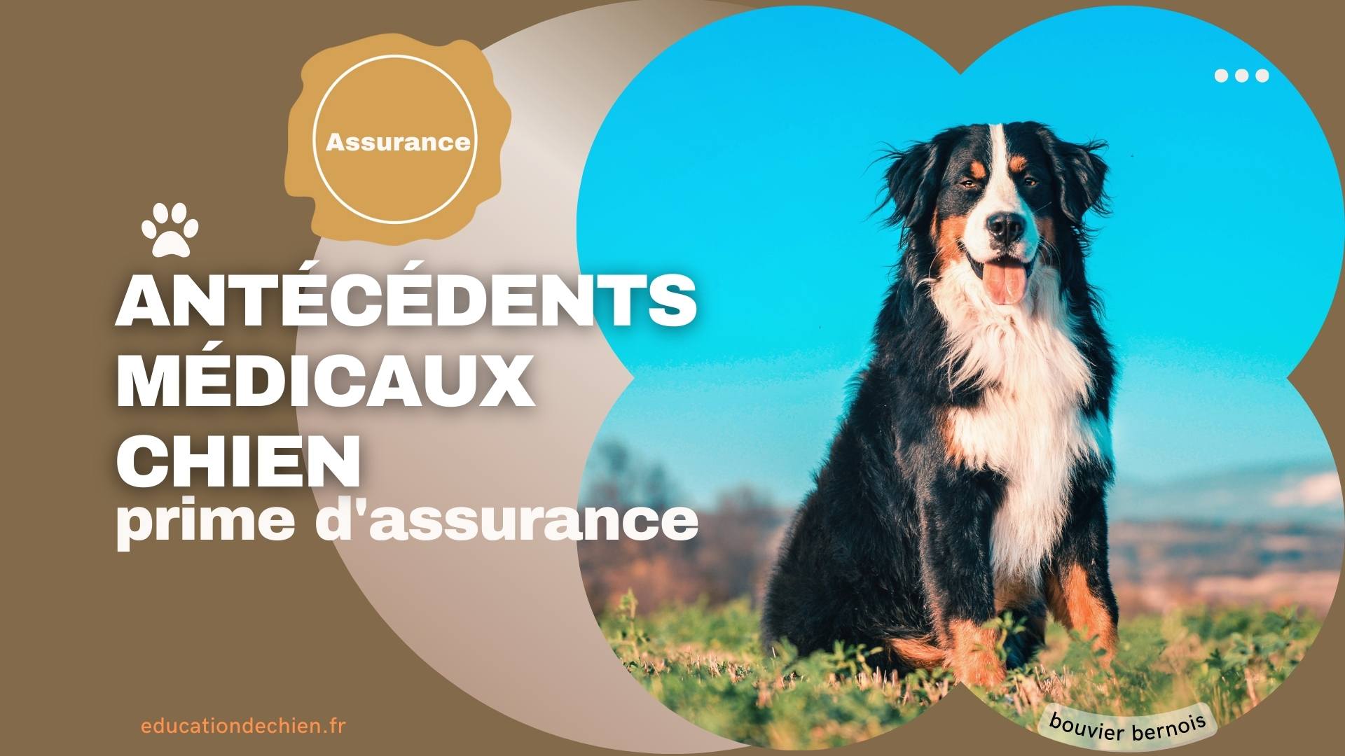 antécédents médicaux de votre chien