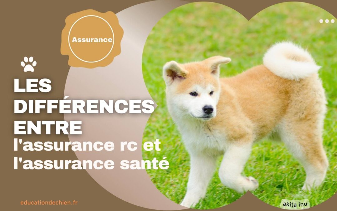 Les différences entre l’assurance responsabilité civile et l’assurance santé pour animaux.