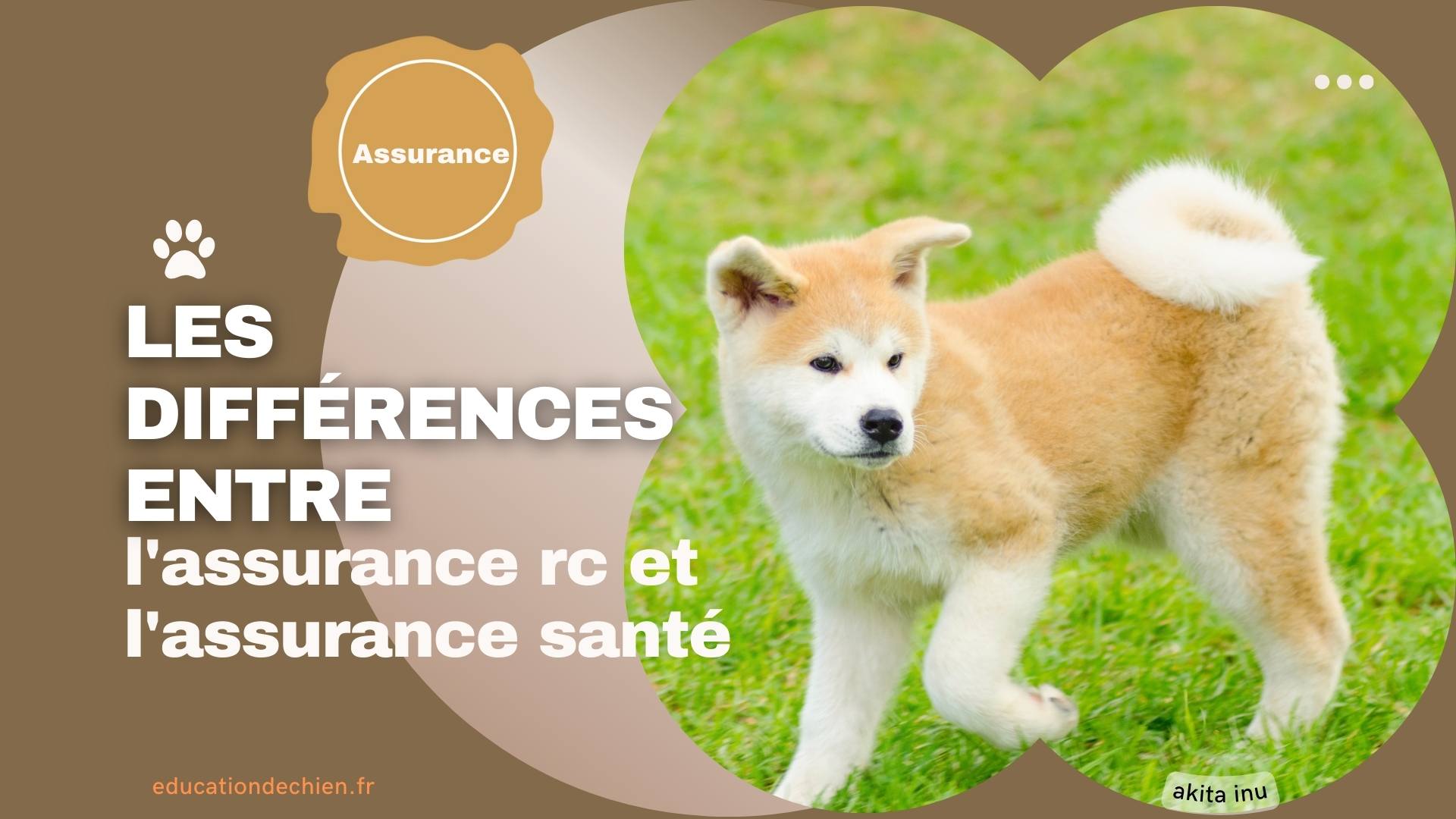 assurance différence animaux