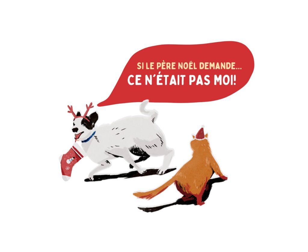 image fun chien