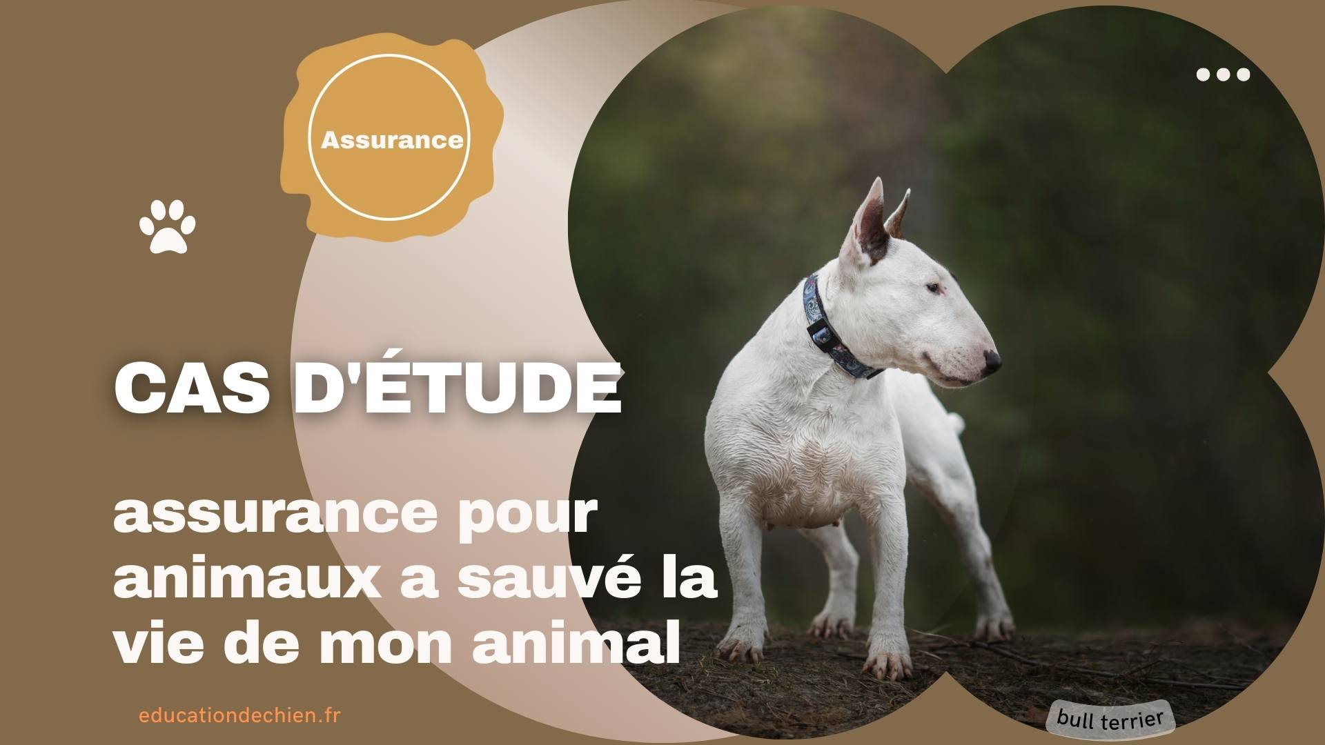 assurance pour animaux a sauvé la vie de mon animal