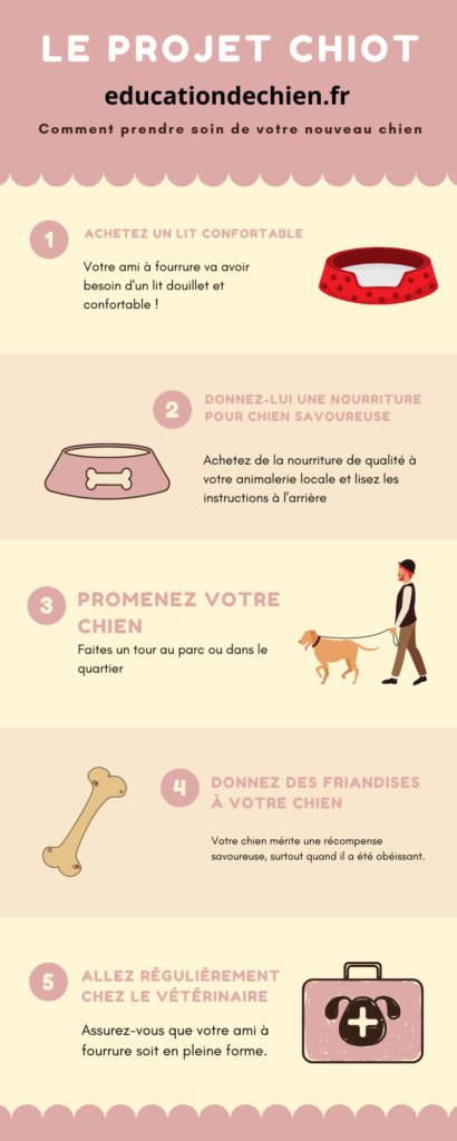Processus lorsque l'on adopte un chiot