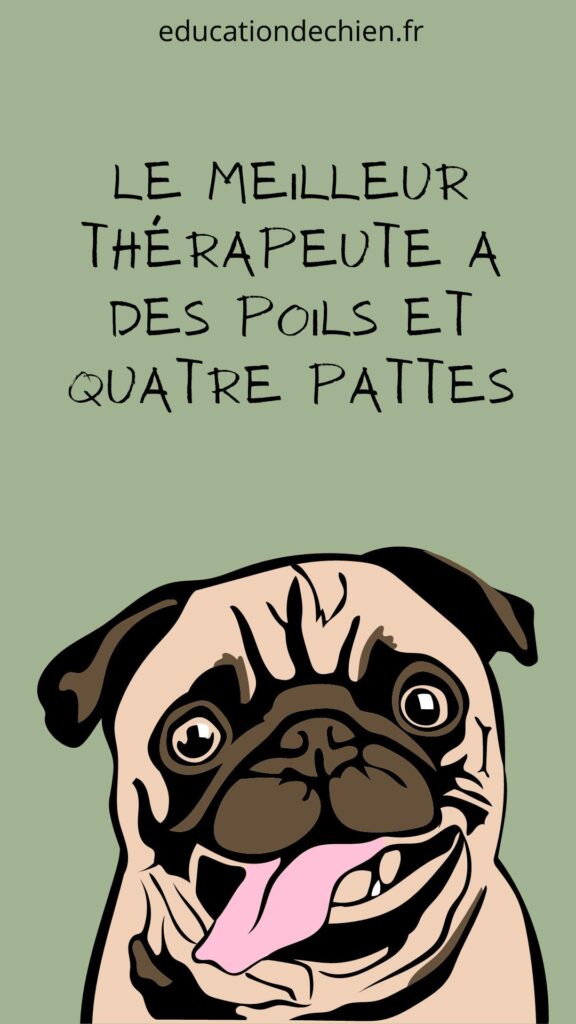 Citations sur les chiens