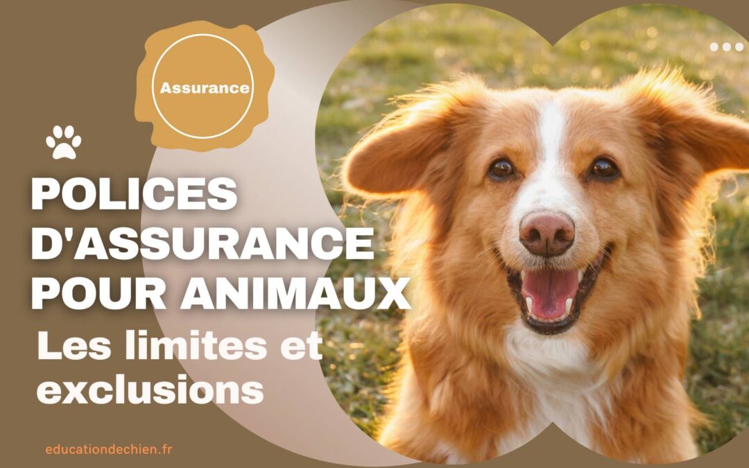 Les limites et exclusions communes dans les polices d’assurance pour animaux.