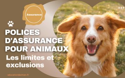 Les limites et exclusions communes dans les polices d’assurance pour animaux.