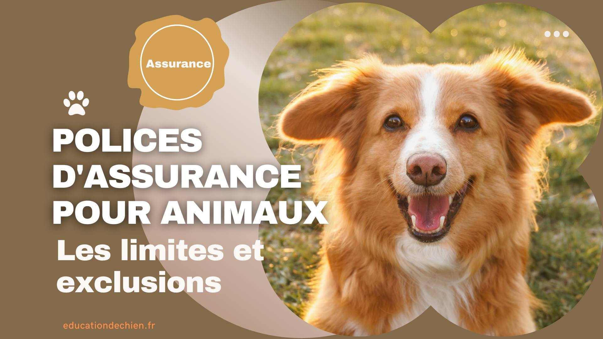 polices d'assurance pour animaux
