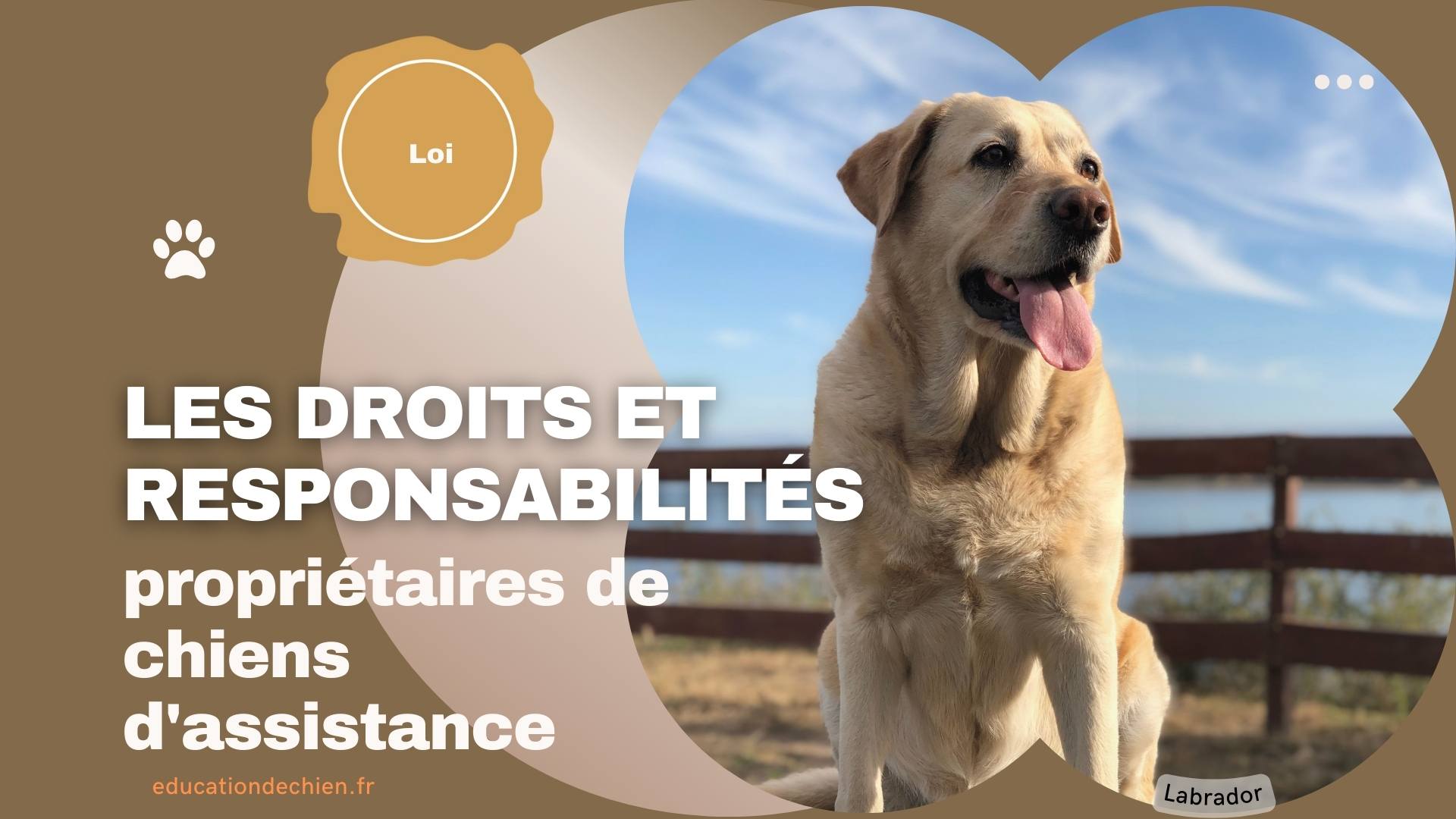 propriétaires de chiens d'assistance