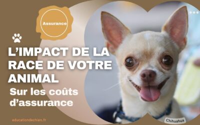 L’impact de la race de votre animal sur les coûts d’assurance.