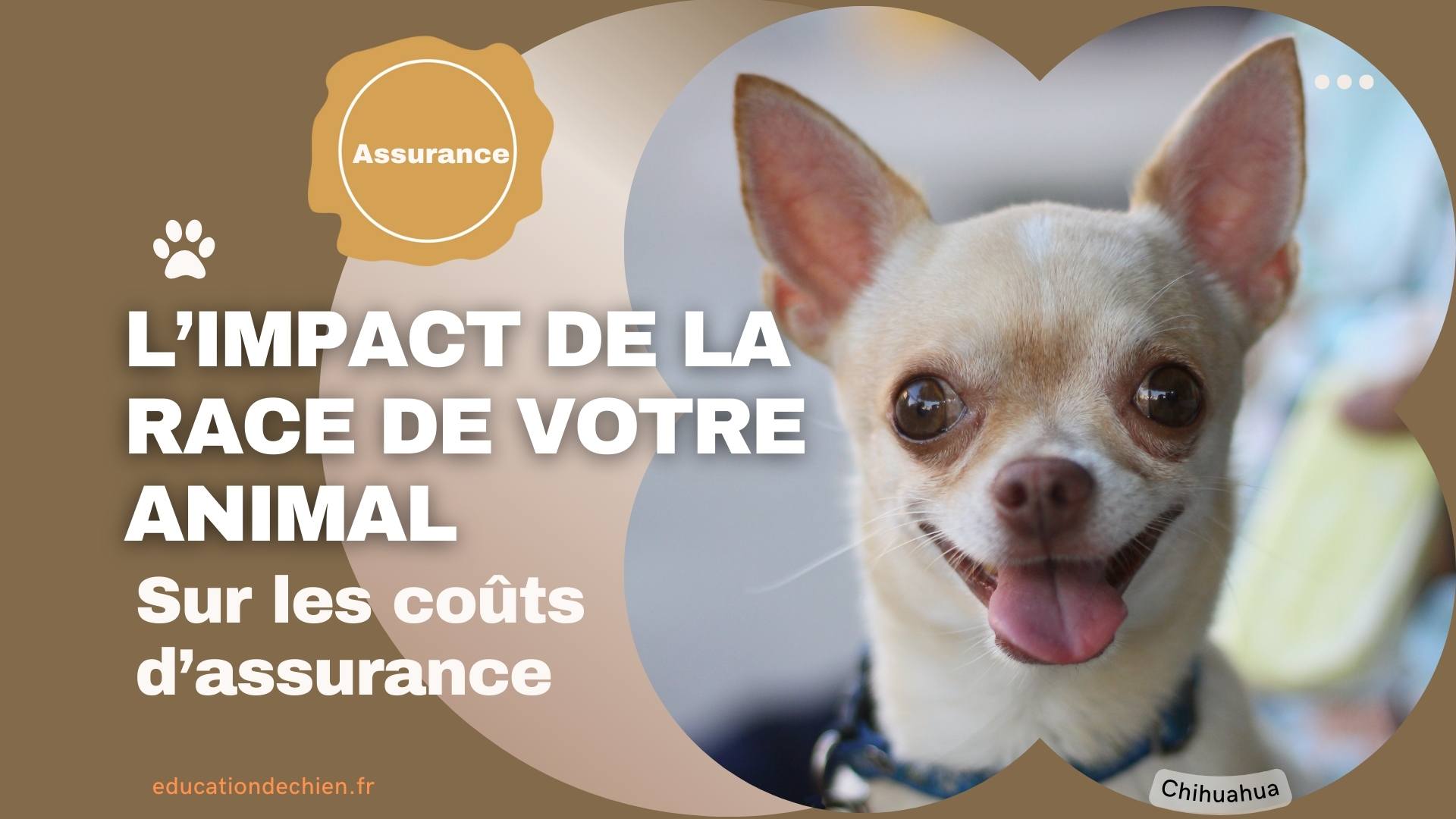 L’impact de la race de votre animal