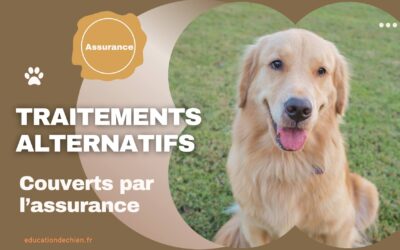 Les traitements alternatifs et thérapies couverts par l’assurance.