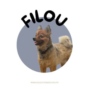 Photo de Filou